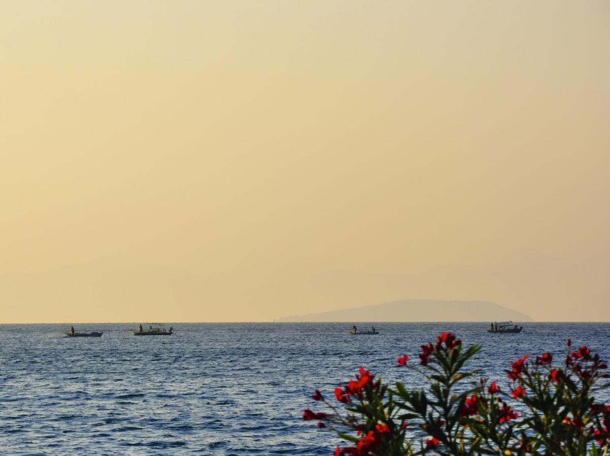 Manna Gea Villa Vónitsa Buitenkant foto